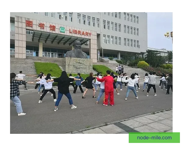 布莱克浦球迷文化的激情传承与社区凝聚力探究